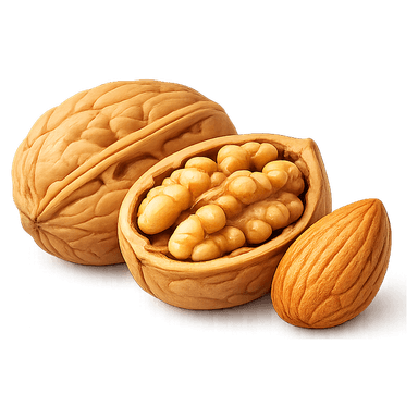 Ξηροί Καρποί