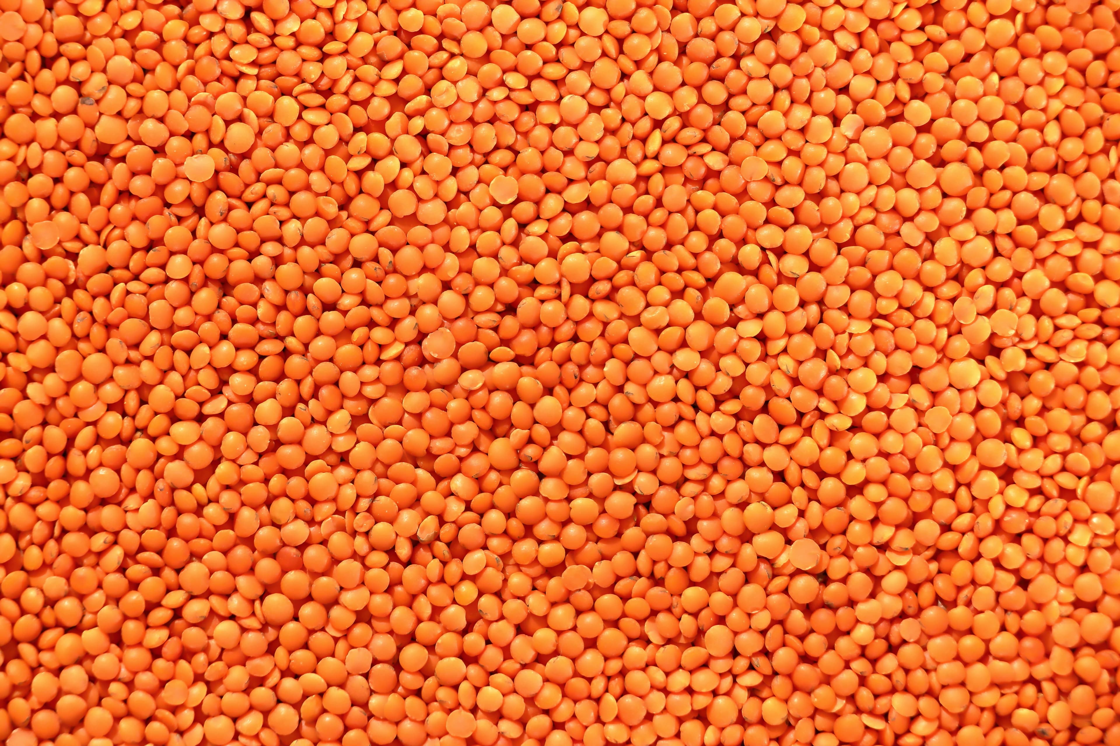 Φακές Εγχώριες 500g